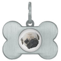 Niedlicher Welpe Mops Dog Friend ... か わ い い 犬 子