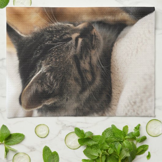 Niedlicher Welpe und Kätzchen Geschirrtuch (Gefaltet)