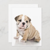 Niedlicher Welpen Einladung (Vorne/Hinten)