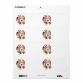 Niedlicher Welpen-Hund-Cartoon-Basset-Hund (Vorne)