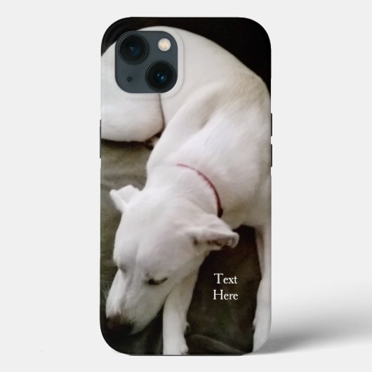Niedlicher Welpen-Hund Labrador Mix Case-Mate iPhone Hülle (Rückseite)