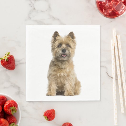 Niedlicher Welpen Hund Lover Party Cairn Terrier G Serviette (Beispiel)
