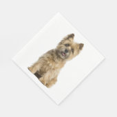 Niedlicher Welpen Hund Lover Party Cairn Terrier G Serviette (Ecke)