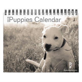 Niedlicher Welpen-Kalender 2016 Kalender