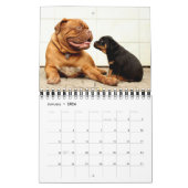 Niedlicher Welpen-Kalender 2016 Kalender (Jan 2026)