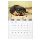 Niedlicher Welpen-Kalender 2016 Kalender (Feb 2026)