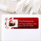 Niedlicher Welpen-Mops in einer Roten Weihnachtsma (Insitu)