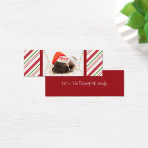 Niedlicher Welpen-Mops in einer Roten Weihnachtsma