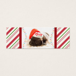 Niedlicher Welpen-Mops in einer Roten Weihnachtsma