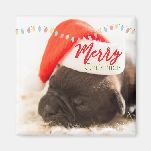 Niedlicher Welpen-Mops in einer Roten Weihnachtsma Magnet (Vorne)