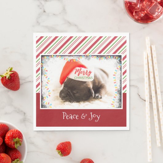 Niedlicher Welpen-Mops in einer Roten Weihnachtsma Serviette (Beispiel)