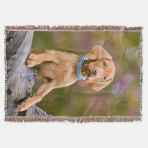 Niedlicher Welpen ungarisch Vizsla Dog Welpe Foto Decke