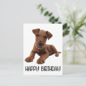 Niedlicher Welpenhund Airedale Terrier Geburtstag Postkarte (Stehend Vorderseite)