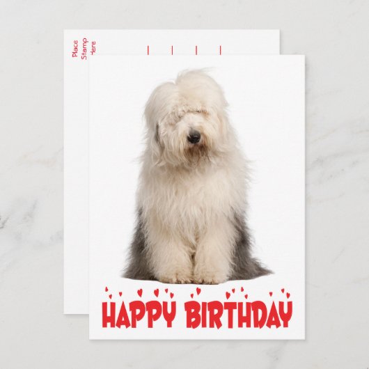 Niedlicher Welpenhund Alte englische Schafhündin G Postkarte (Vorne/Hinten)