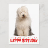 Niedlicher Welpenhund Alte englische Schafhündin G Postkarte (Vorderseite)