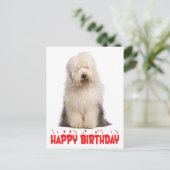 Niedlicher Welpenhund Alte englische Schafhündin G Postkarte (Stehend Vorderseite)