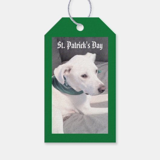 Niedlicher Welpenhund, der ein grünes und graues G Geschenkanhänger (Vorderseite)