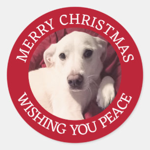 Niedlicher Welpenhund frohe Weihnachten Frieden Ro Runder Aufkleber