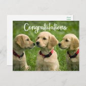 Niedlicher Welpenhund Golden Retriever Herzlichen Postkarte (Vorne/Hinten)