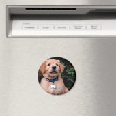 Niedlicher Welpenhund Golden Retriever Welpe Magnet (In Situ (Geschirrspüler))