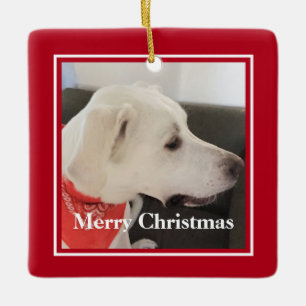 Niedlicher Welpenhund Grün und Rot Weihnachten Keramikornament
