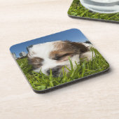 Niedlicher Welpenhund im Park, Vancouver BC Kanada Untersetzer (Linke Seite)