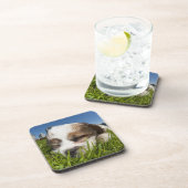 Niedlicher Welpenhund im Park, Vancouver BC Kanada Untersetzer (Rechte Seite)