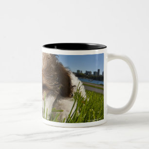 Niedlicher Welpenhund im Park, Vancouver BC Kanada Zweifarbige Tasse