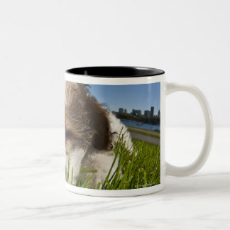 Niedlicher Welpenhund im Park, Vancouver BC Kanada Zweifarbige Tasse