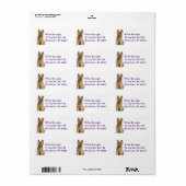 Niedlicher Welpenhund Lover Cairn Terrier Adressaufkleber (Vorne)