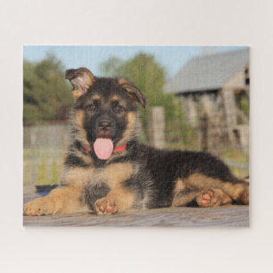 Niedlicher Welpenhund Puzzle