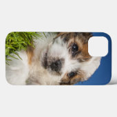 Niedlicher Welpenhund (Shitzu) Case-Mate iPhone Hülle (Rückseite (Horizontal))