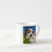 Niedlicher Welpenhund (Shitzu) Espressotasse (Vorderseite Rechts)