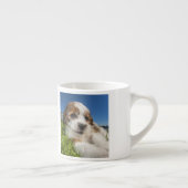 Niedlicher Welpenhund (Shitzu) Espressotasse (Rechts)