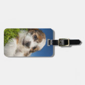 Niedlicher Welpenhund (Shitzu) Gepäckanhänger (Vorderseite horizontal)