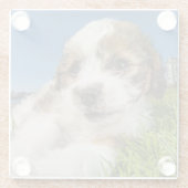 Niedlicher Welpenhund (Shitzu) Glasuntersetzer (Rückseite)