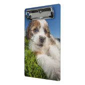 Niedlicher Welpenhund (Shitzu) Mini Klemmbrett (Gewinkelt2)