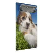 Niedlicher Welpenhund (Shitzu) Mini Klemmbrett (Schrägansicht)
