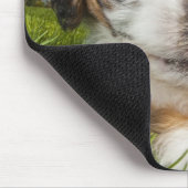 Niedlicher Welpenhund (Shitzu) Mousepad (Ecke)