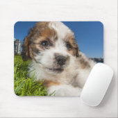 Niedlicher Welpenhund (Shitzu) Mousepad (Mit Mouse)