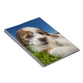 Niedlicher Welpenhund (Shitzu) Notizblock (Rechte Seite)