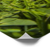 Niedlicher Welpenhund (Shitzu) Poster (Ecke)