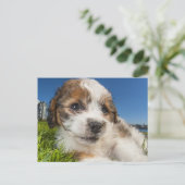 Niedlicher Welpenhund (Shitzu) Postkarte (Stehend Vorderseite)