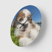 Niedlicher Welpenhund (Shitzu) Runde Wanduhr (Winkel)