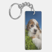 Niedlicher Welpenhund (Shitzu) Schlüsselanhänger (Vorderseite links)
