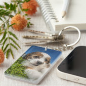 Niedlicher Welpenhund (Shitzu) Schlüsselanhänger (Vorderseite rechts)