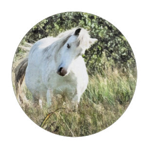 NIEDLICHER WELSH BERGSPONIEN SCHNEIDEBRETT