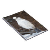 Niedlicher Whiskey Jack Bird Nature Foto Notizblock (Rechte Seite)