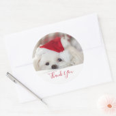 Niedlicher White Dog in einem Red Christmas Hat Da Runder Aufkleber (Umschlag)