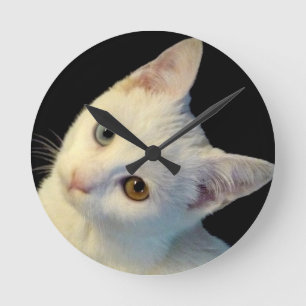 Niedlicher White Turkish Van Kitten Clock Runde Wanduhr